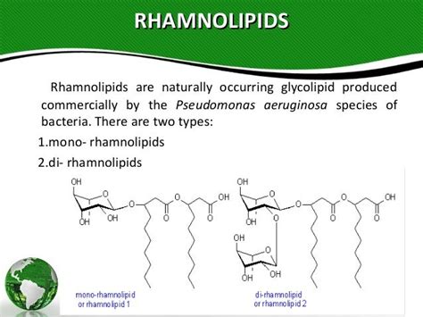  Rhamnolipid: 지속 가능한 생산을 위한 자연 유래 계면 활성제의 놀라운 세계!